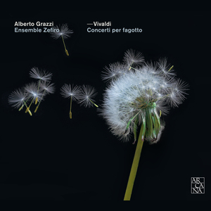 Concerto for Bassoon, Strings and Basso Continuo in C Minor, RV 480: III. Allegro