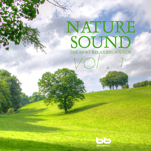 공원에 쏟아지는 장맛비