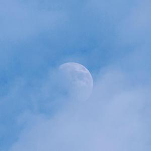 她的眼睛会唱歌