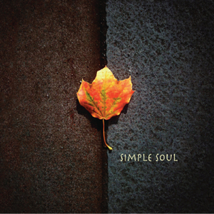 A Million Stars and Broken Satellites