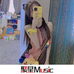 今夜枕着月亮入睡(快手DJ版)