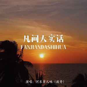 凡间大实话 (DJ默涵版)