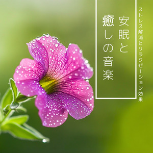 優しいナッツと安らぎピアノ