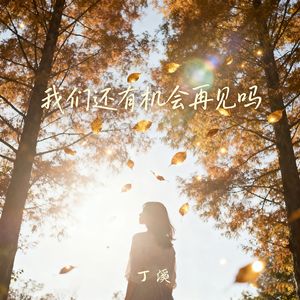 我们还有机会再见吗