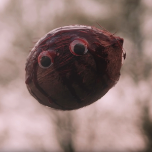 Starmeter! (feat. Patrick Willems, Chloe Holgate & Jake Torpey)