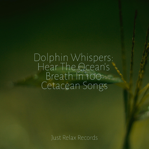 Echoes of Mindscapes