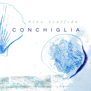 Conchiglia