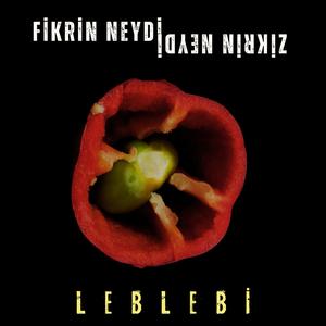 Fikrin Neydi Zikrin Neydi