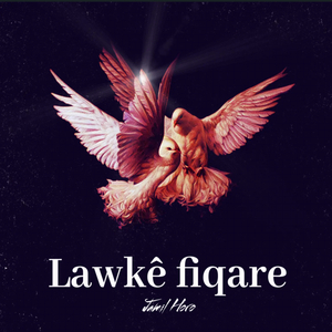 Lawkê fiqare
