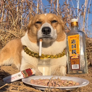 《活在第二世界》（头段）