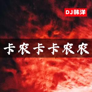 vadoka bayan (DJ旋律版)