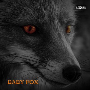 Baby fox
