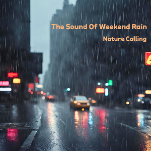 아침에 내리는 비