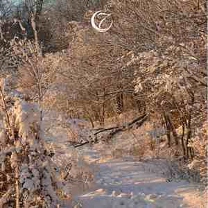 落花时节 (钢琴曲｜助眠｜催眠)