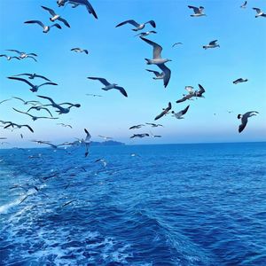 人生一条路有泪也有笑