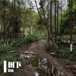 树下