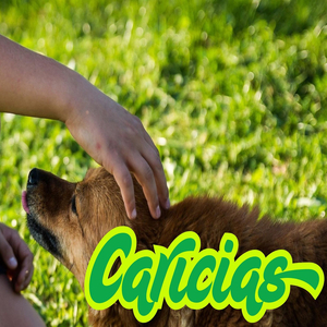 Caricias