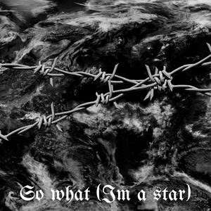 So What (I'm a Star)