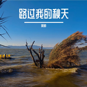 路过我的秋天