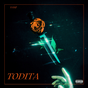 Todita