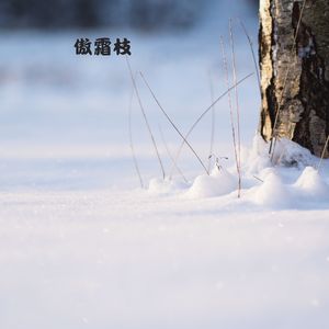 夜深知雪重 (古琴曲)