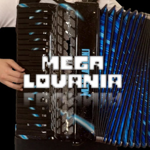 【手风琴】MEGALOVANIA【UNDERTALE】（翻自 Toby Fox）