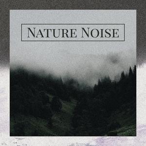 Nature Noise (Crashing Waves)