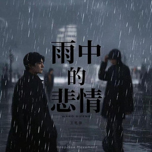 雨中的悲情 (小笔锋版)