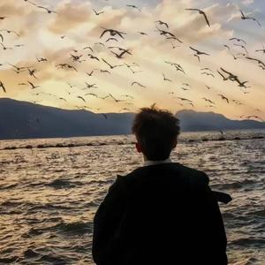 心跳比我先认出你