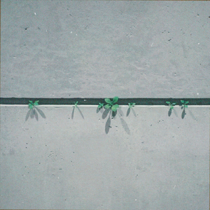 Ode to Vivian (kalimba version)