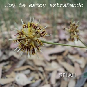 Hoy te estoy extrañando