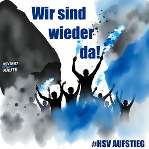 Wir sind wieder da! (HSV AUFSTIEG)