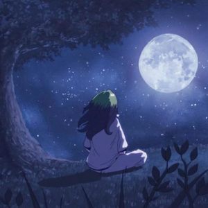 京都夜晚の风花雪月