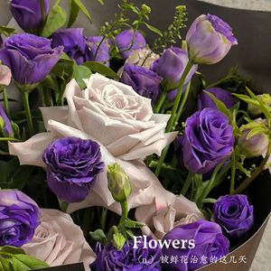 深秋的黎明（粤语）