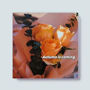 Free-“樱花”emo type