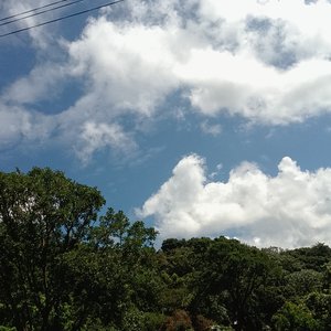 Horizonte infinito