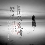 年轻有为 (DJ版) - 苏天伦 专辑封面