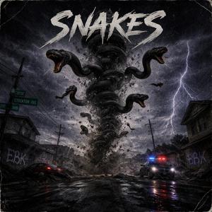 Snakes