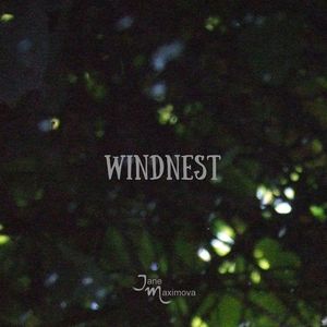 Windnest