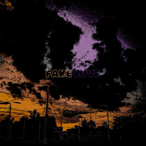 Fake Love