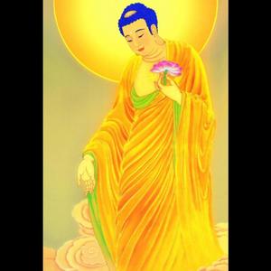 三世诸佛的眼睛_悲云禅心