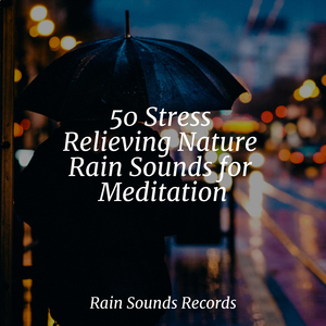 Misty Canopies at Daybreak