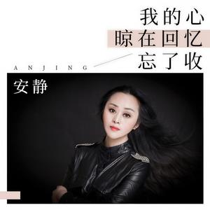 我的心晾在回忆忘了收 (DJ何鹏版)