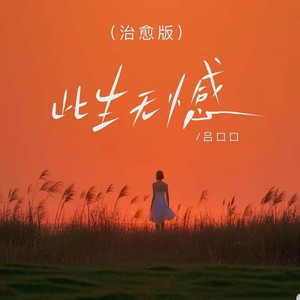 此生无憾 (治愈版)