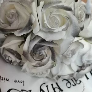 在最好的年纪我遇见了你