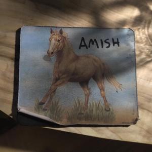 Amish