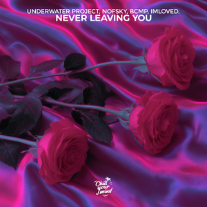 Never Leaving You