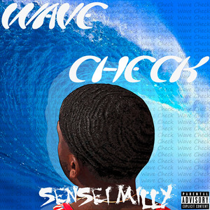 Wave Check