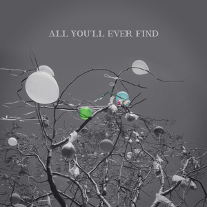 All You'll Ever Find