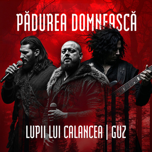Vai Sărmana Turturica